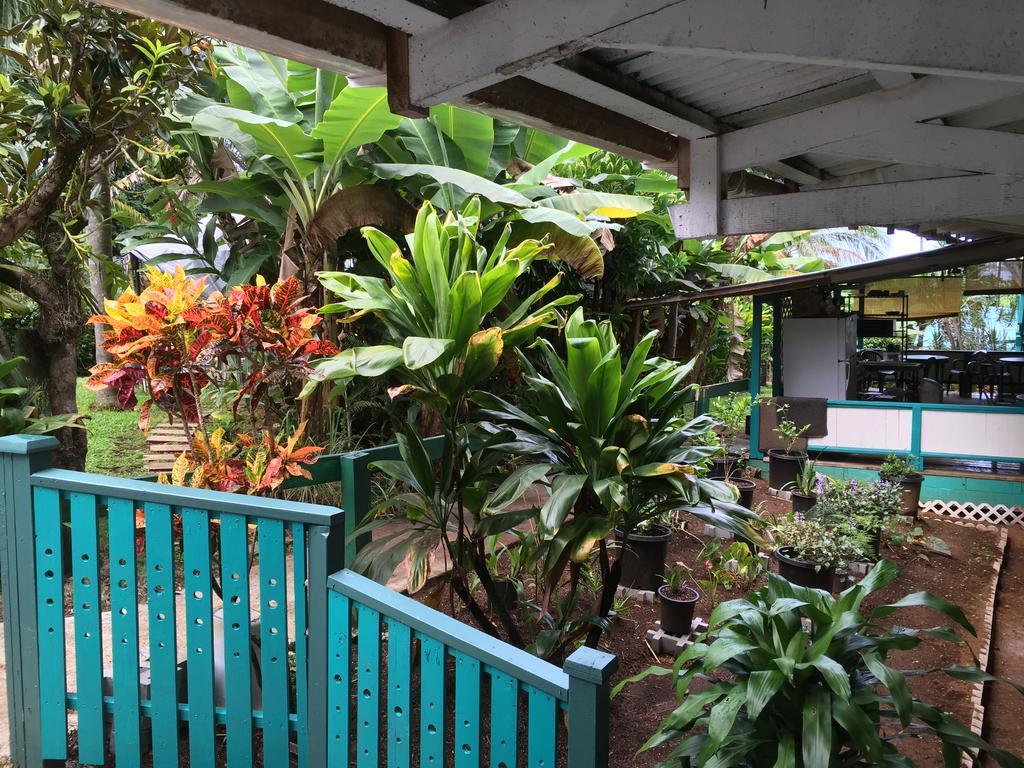 Wild Ginger Inn Hotel & Hostel Хило Экстерьер фото