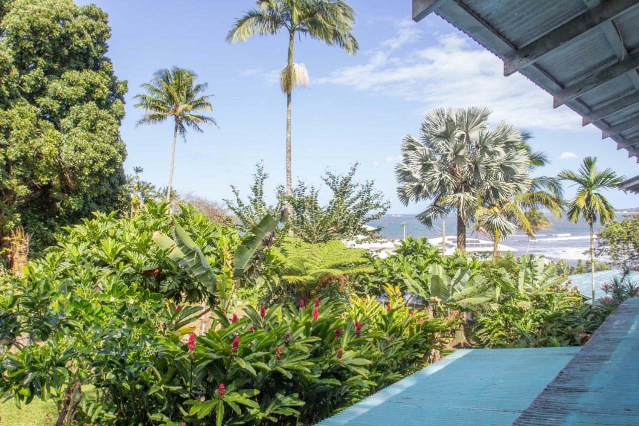 Wild Ginger Inn Hotel & Hostel Хило Экстерьер фото